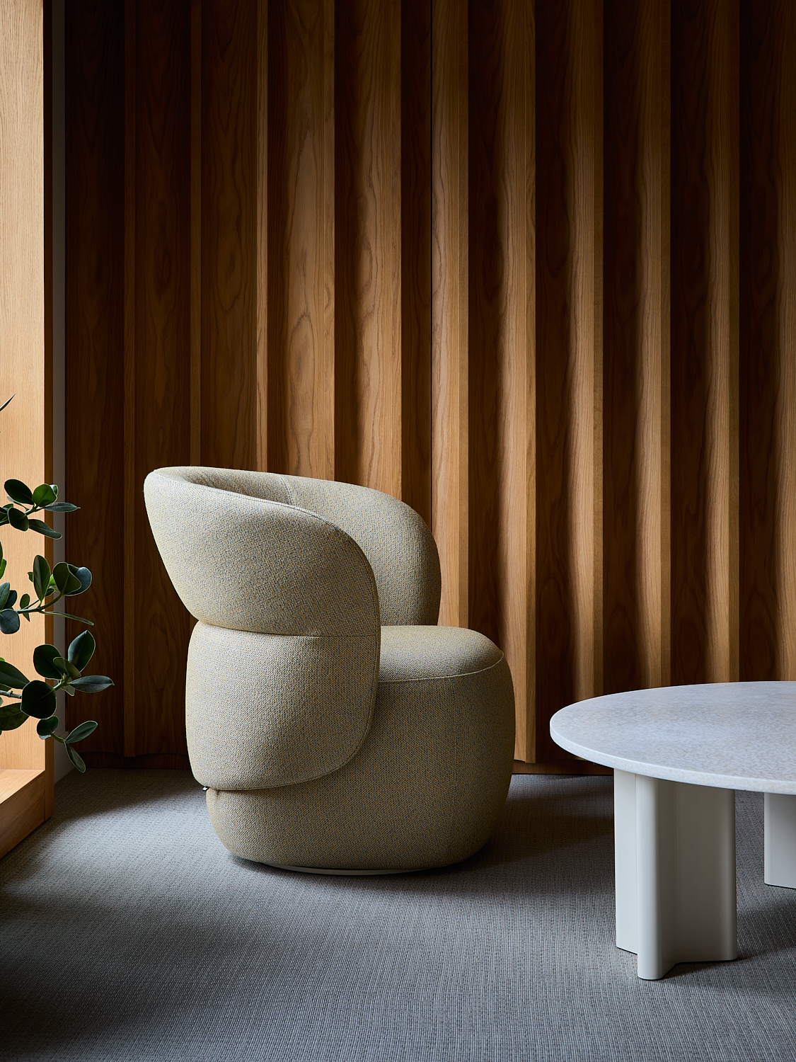 cactus-interior10.jpg